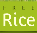 free rice and a bigger vocabulary
